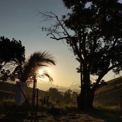 Sirlenny Aparecida Ribeiro